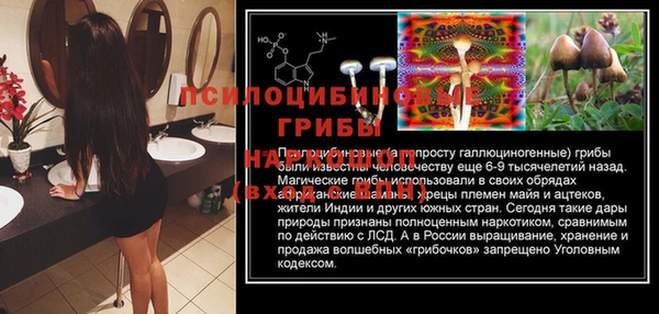 амф Балабаново