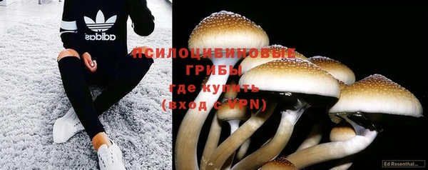 амф Балабаново