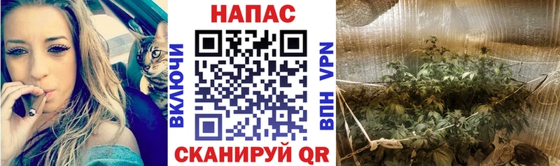 Бошки марихуана AK-47 Боровск
